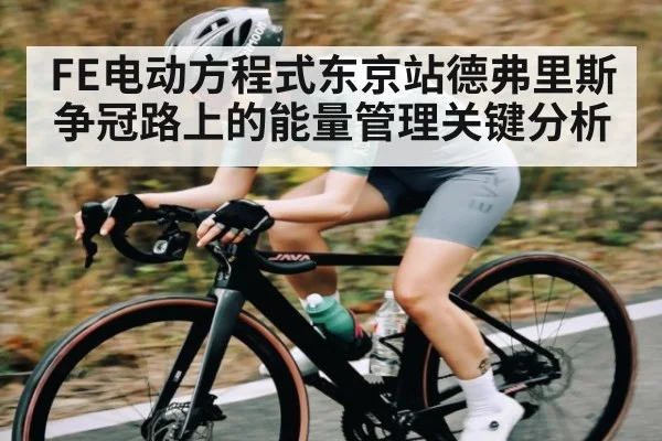 FE电动方程式东京站德弗里斯争冠路上的能量管理关键分析